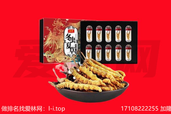 东莞东坑镇回收虫草.jpg